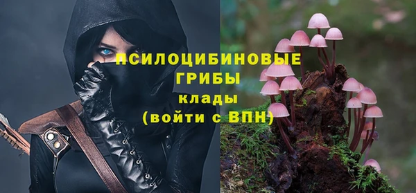ALPHA PVP Алзамай