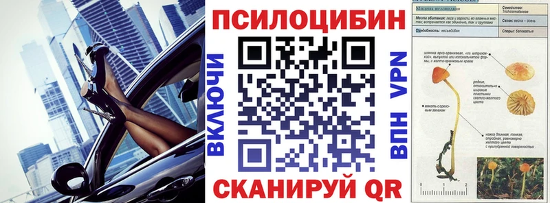 Галлюциногенные грибы Psilocybe  Тосно 